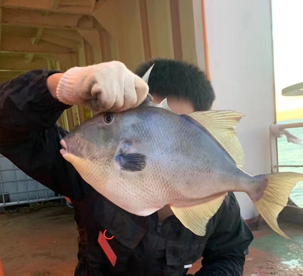 油化船油化船油化船