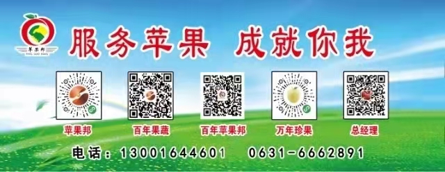 电工，操作工，维修工，业务员，助理，文员等