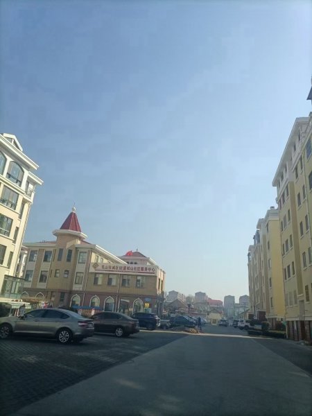 金泰小区 框架新房 4楼 87平 证已办！ 两个南卧可做三室
