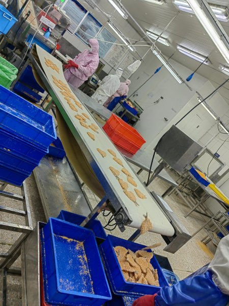 文登食品厂大量招收大龄工人