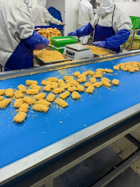 文登食品厂大量招收大龄工人