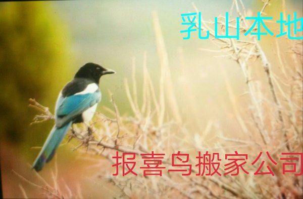 报喜鸟搬家公司,竭诚为你服务