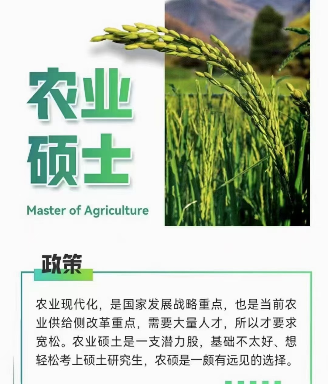 高速收费员、机场、高铁等国企安置、名校助力、电工电焊厨师证等