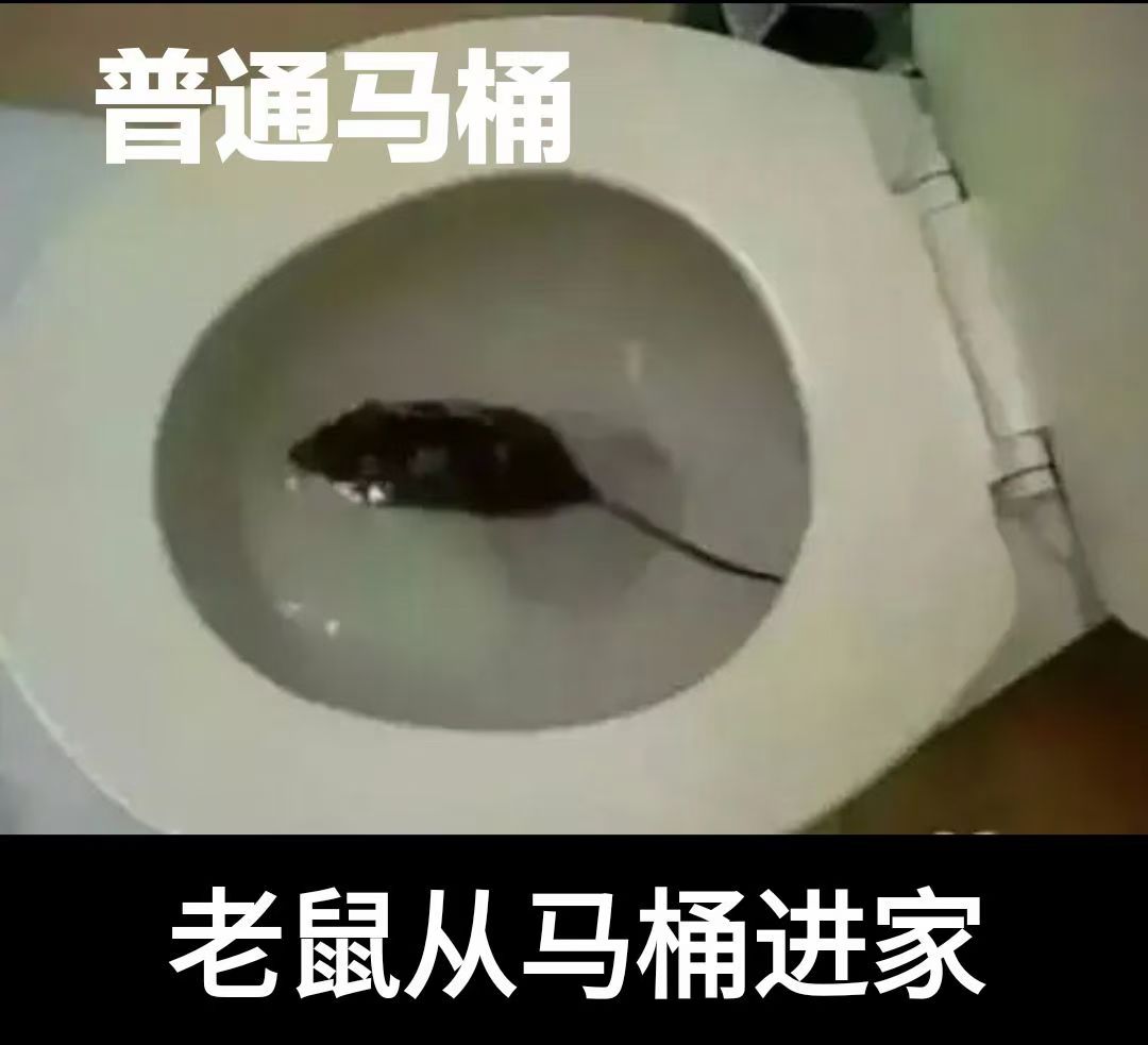 【【【安全马桶 高枕无忧】】】