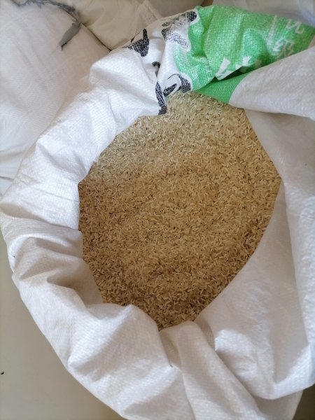 卖自己家的大米了