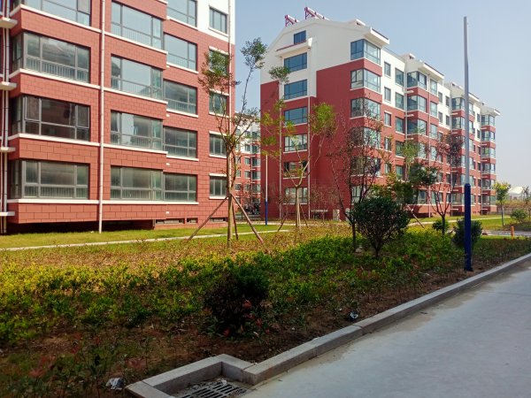阳光家园三楼毛坯框架121平