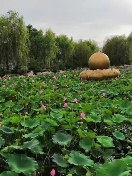 送房！ 你没看错，真的送房！为回笼资金，开发公司拿出三套优质