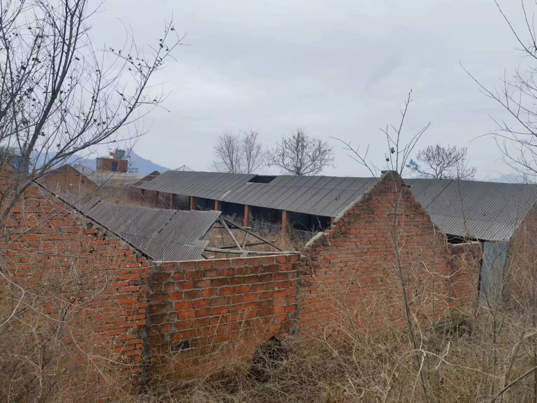 寨前原小学出租 约3亩地