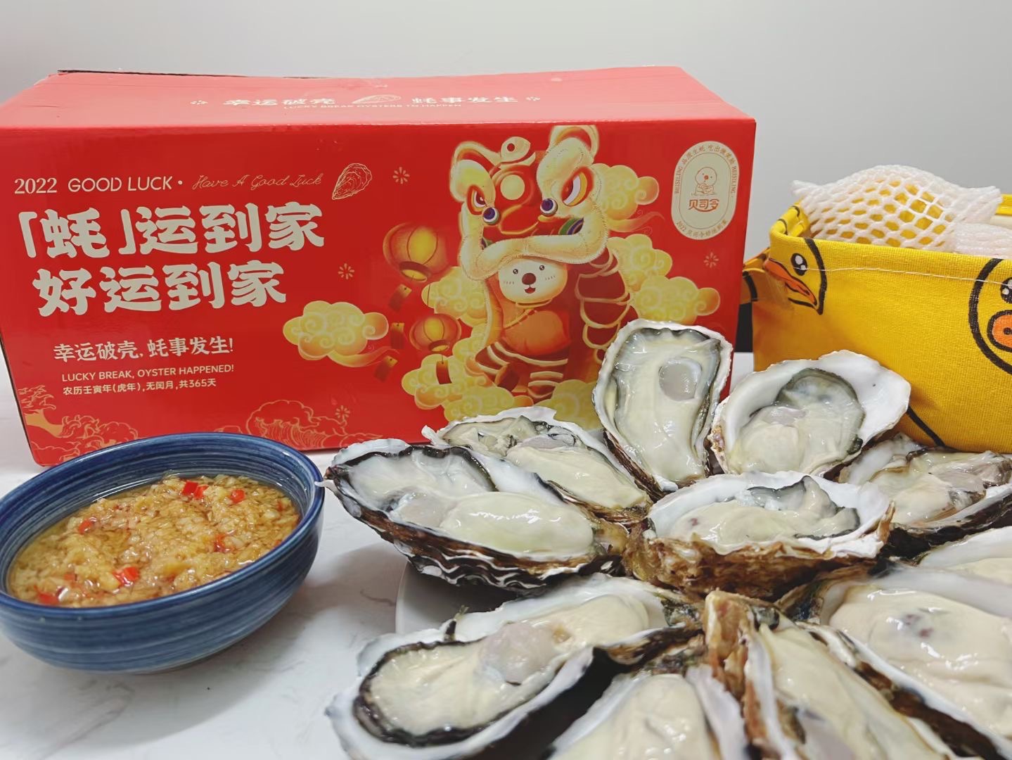 灯塔水母 诚聘英才