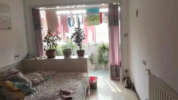 毛家一楼出租