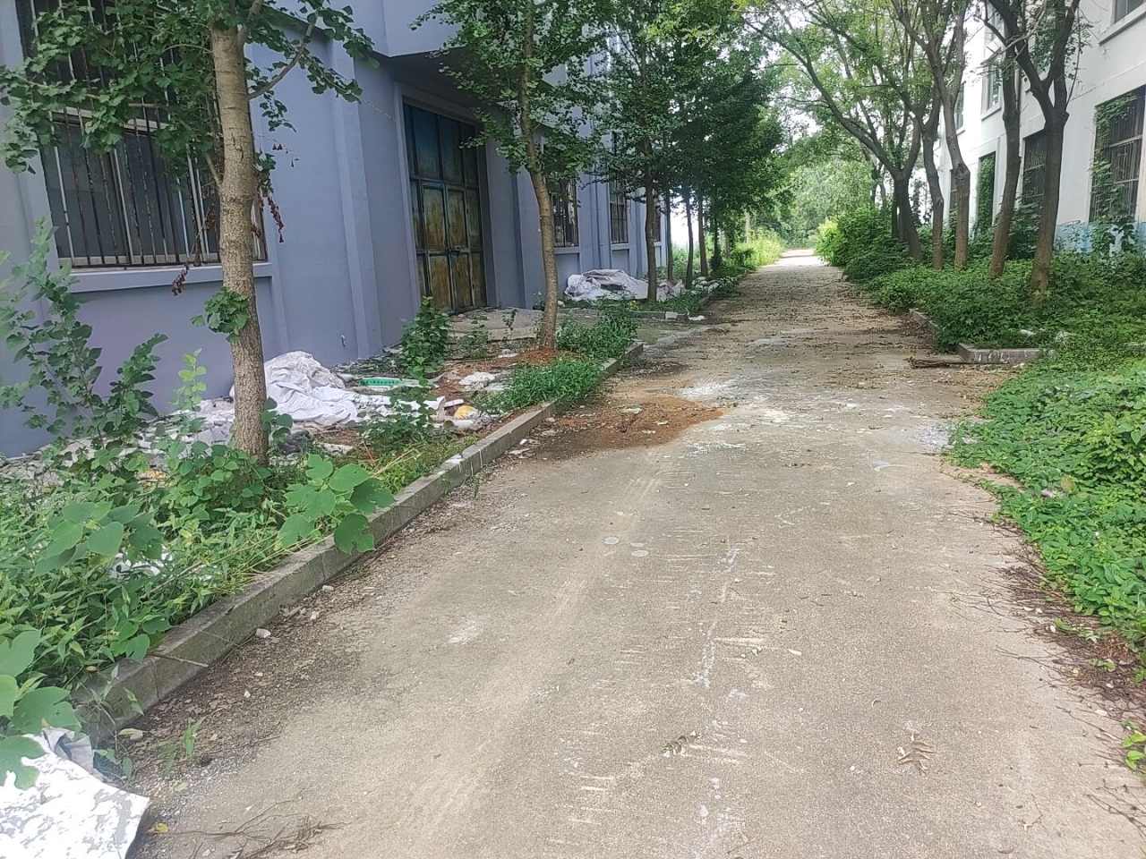 招零工1~2名，清理园区建筑垃圾、杂草