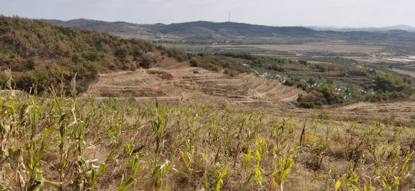 乳山一百亩左右土地转让