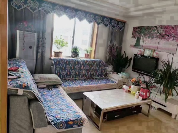 买便宜向阳二区，起脊顶楼四楼88平方三室一厅，府前黄山一中学