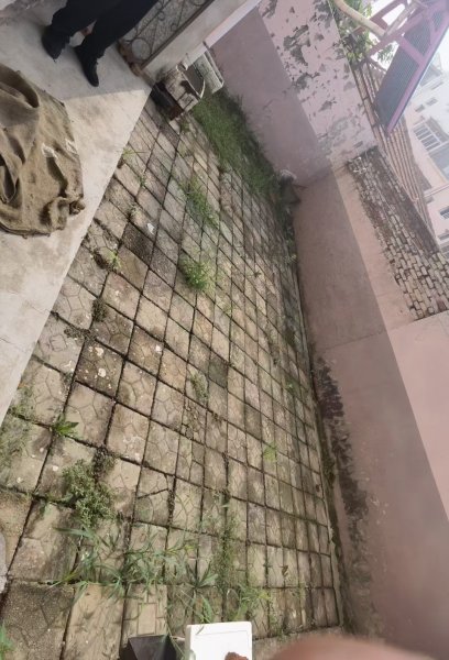 特别适合老人居住送大花园 电业一楼26.8万
