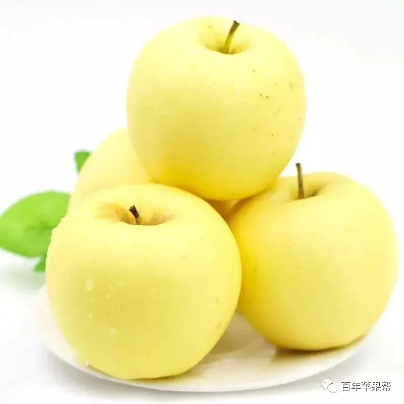 农资店业务员@果园管理员