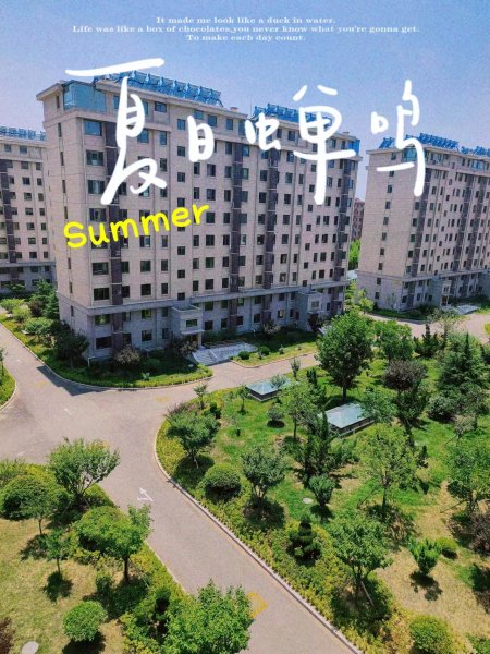 乳山高档封闭小区电梯房