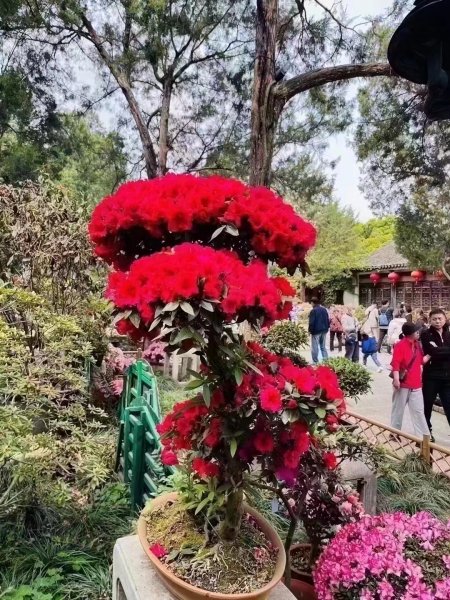 预售 丽景华庭电梯五楼房本面积65平仅售39.8万，全屋定制