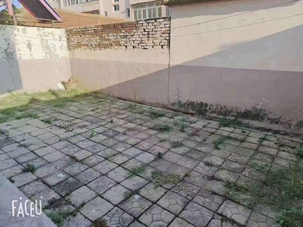 超低价电业小区贴地1楼74平，双气，带大院子。