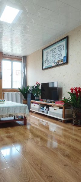 《府前学区房》向阳二区住人一楼2001年竣工 双气齐全 81