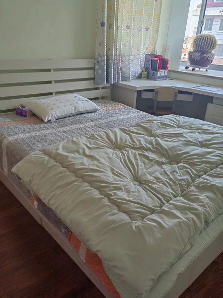 自家精装修房子出租出售 看房议价