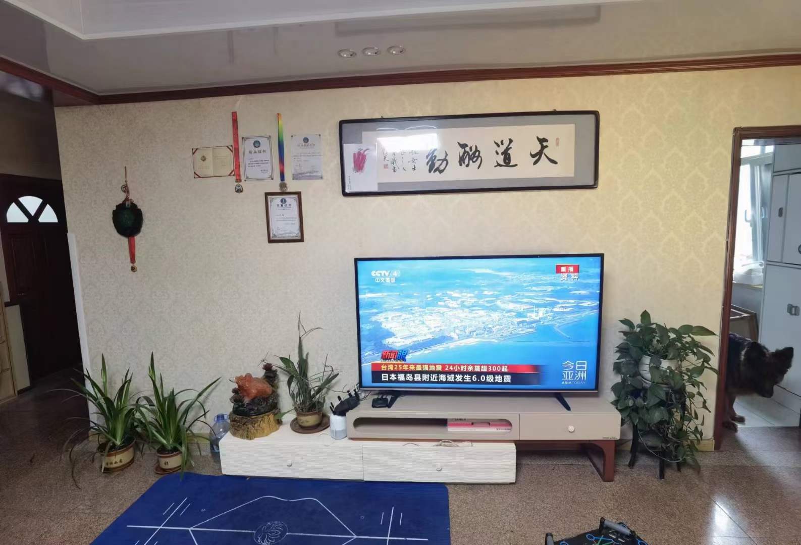 夏南别墅，小产权，149平，四室两卫，天然气，110万