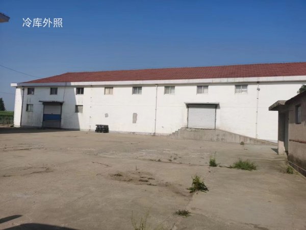 乳山口镇江村洼村冷库出租出售