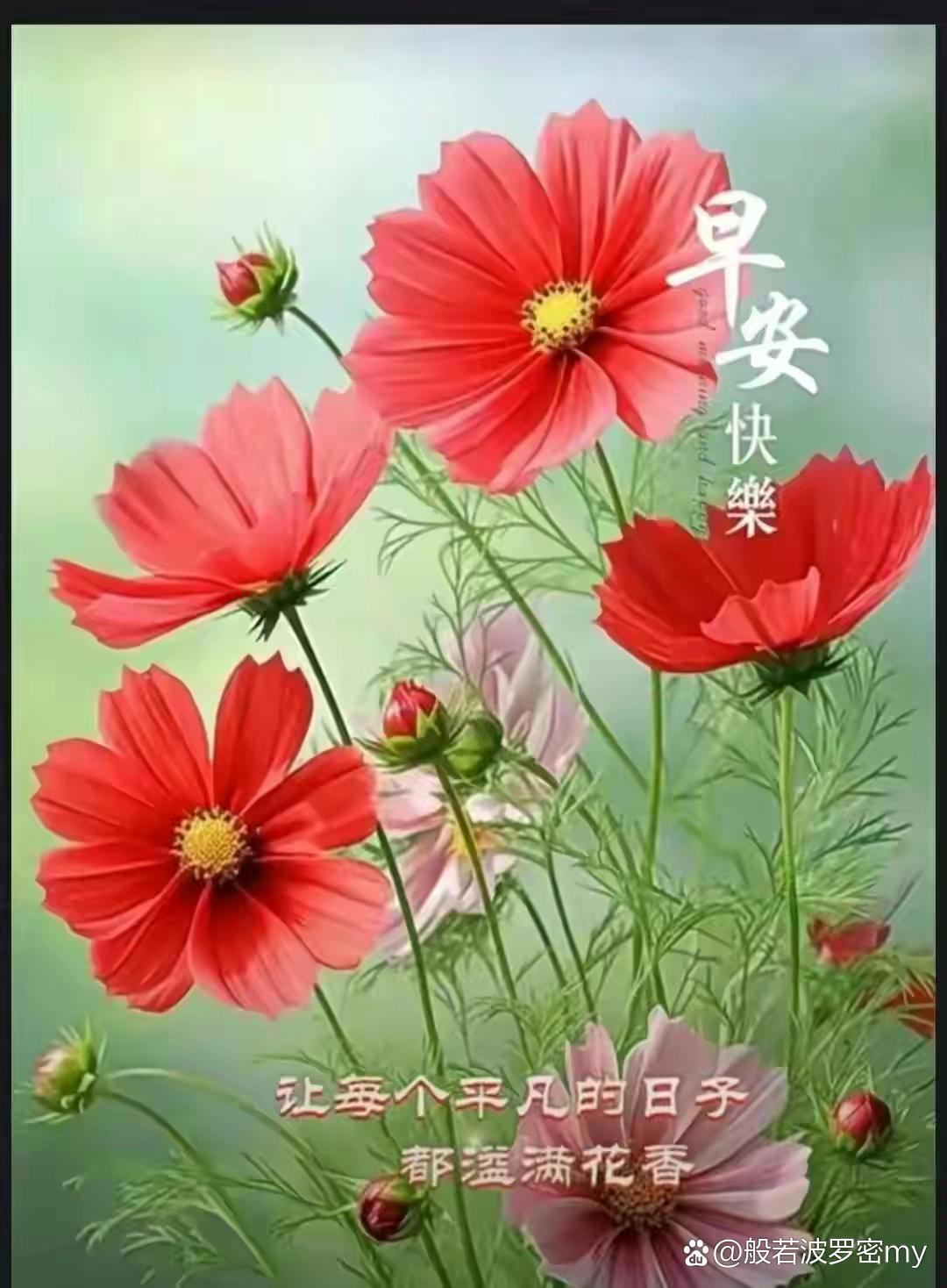 招募合伙人（果色果香果蔬店）