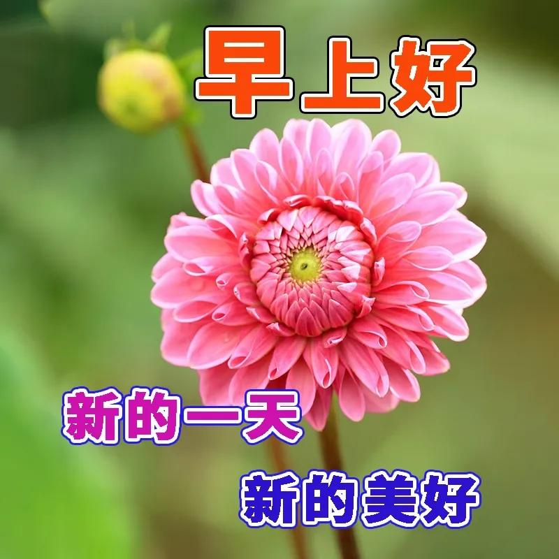 招募合伙人（果色果香果蔬店）