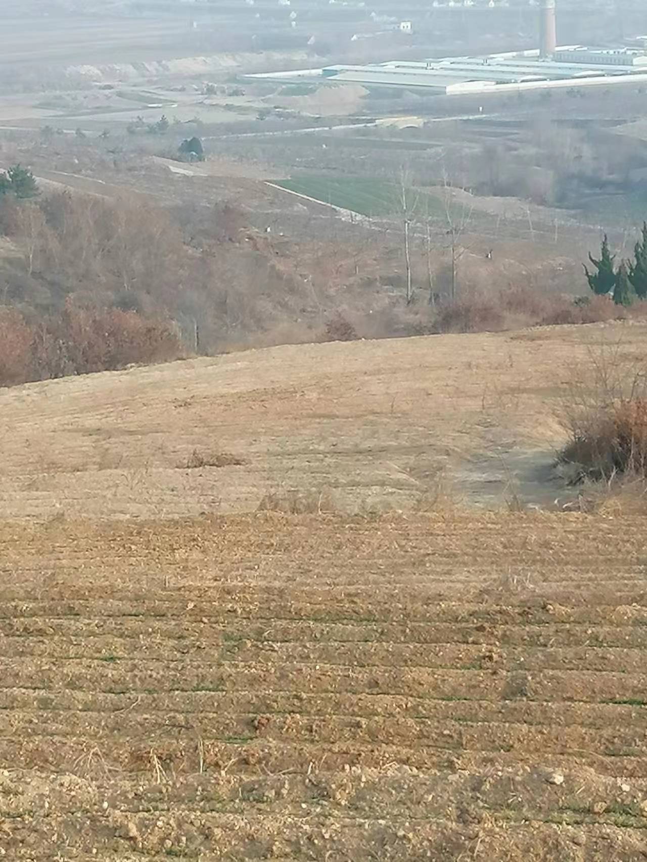 乳山一百亩土地转让 可小面积分租