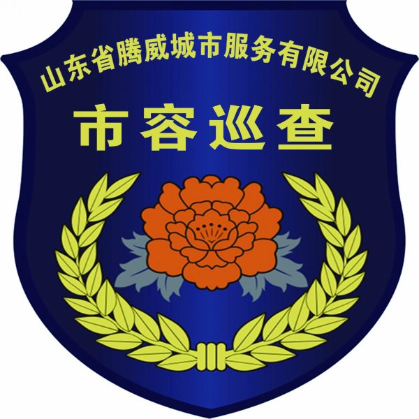 市容巡查