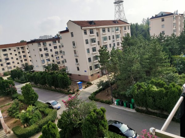 东苑小区(政府二区）出租