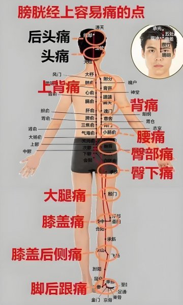 金天慧靓服装毛衫修改整形+旭涛门窗高端定制