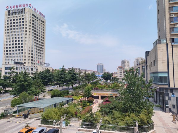 新振华商厦南，二实小、府前、一中学区房