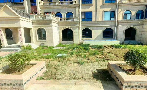 金玫瑰花园，顶账急售