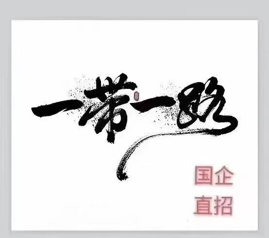塞尔维亚紫金矿业交五险建筑工