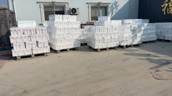 牡蛎厂招男工