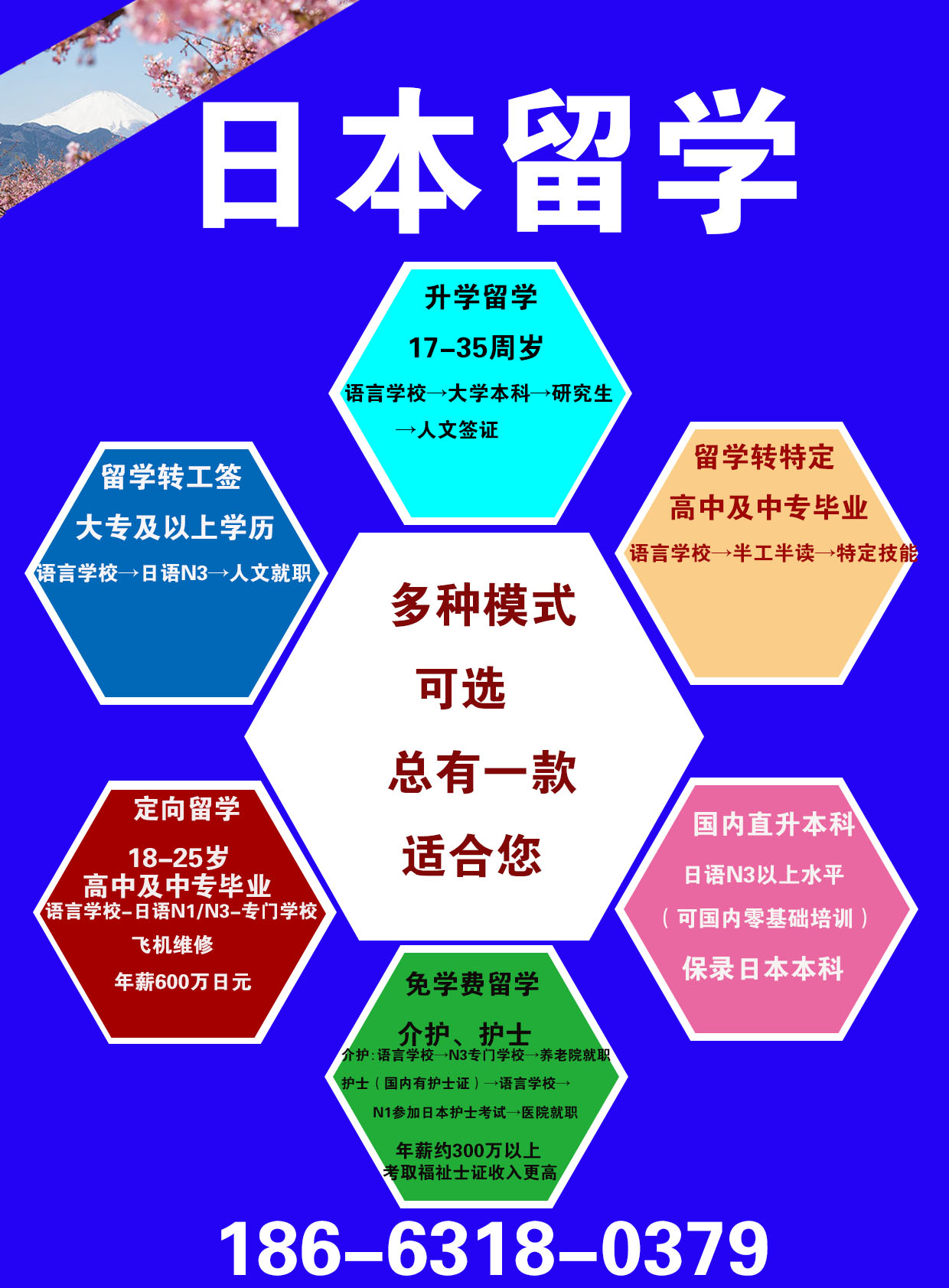 多样的日本留学，2025年高考生多个选择，多条路