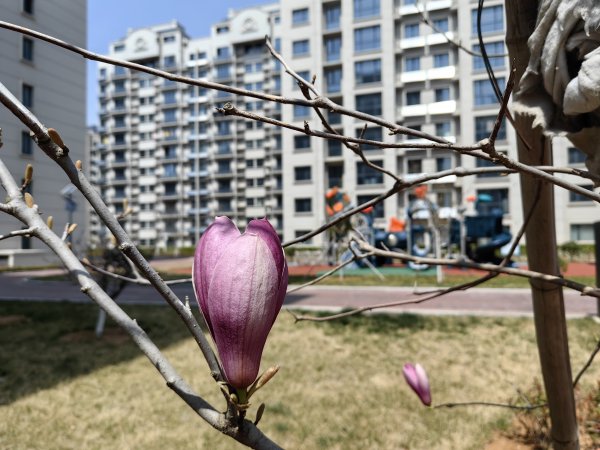 乳山市区瑞驰康城物业招聘保洁人员
