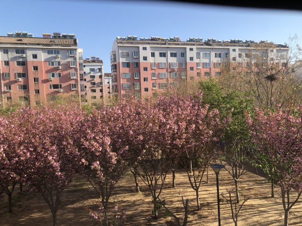 润泽小区黄金位置出售