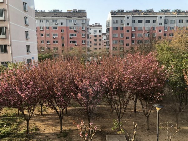 润泽小区2楼黄金位置