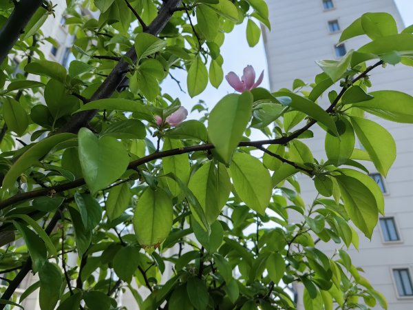 乳山市区瑞驰康城小区物业招聘保洁人员
