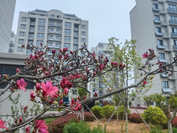 乳山市区瑞驰康城小区物业招聘保洁人员