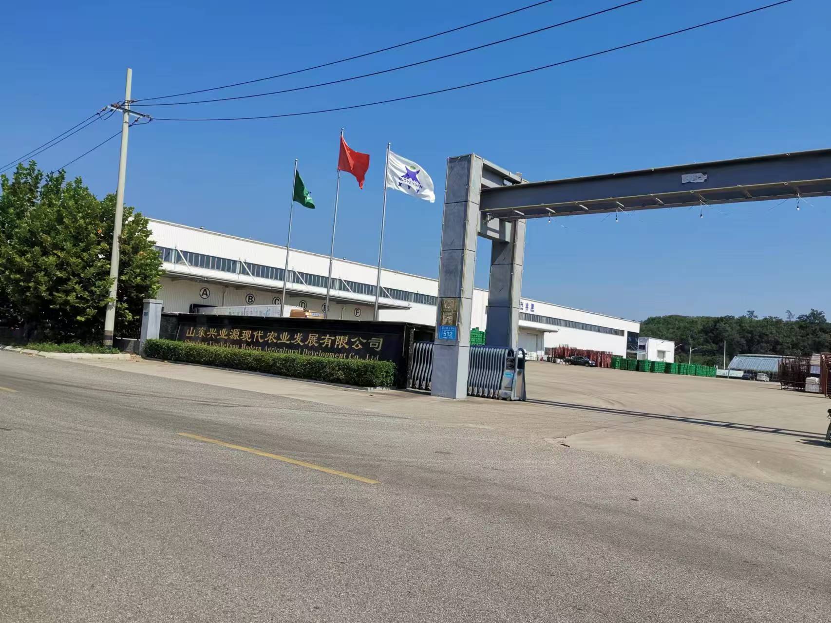 电工、审核员