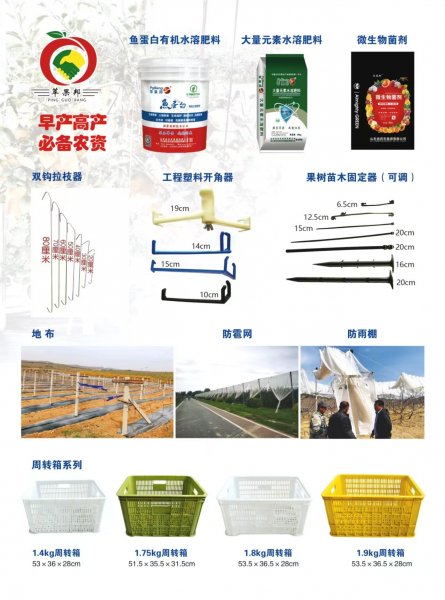 招聘：总经理助理@文员@网络销售