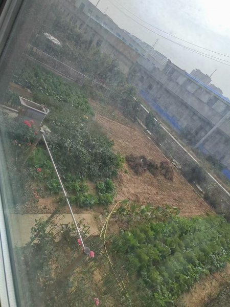 金谷之园一楼带个超大花园出售