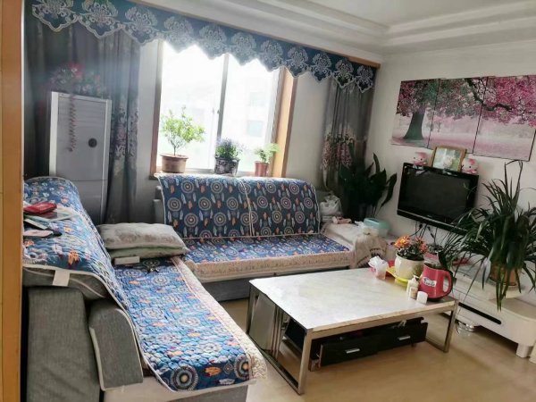 向阳二区，起脊顶楼，四楼 88平 25.8万 三室一厅