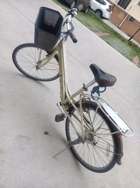 捷安特自行车出售