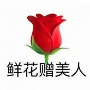 专业清家搬家擦玻璃管道疏通