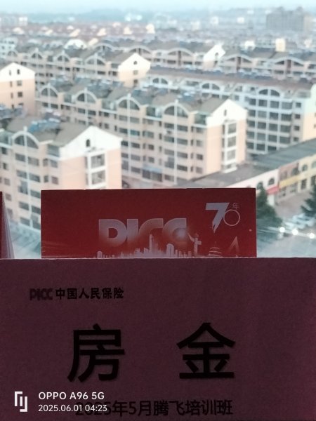 金天慧靓服装毛衫修改整形+旭涛门窗高端定制