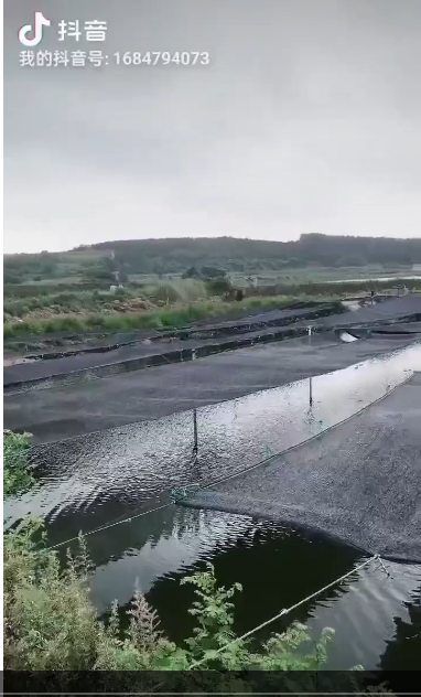 海市乳山市乳山口镇西南赵家有虾池出租，出售，13亩。联系电话，微信同号。赵先生